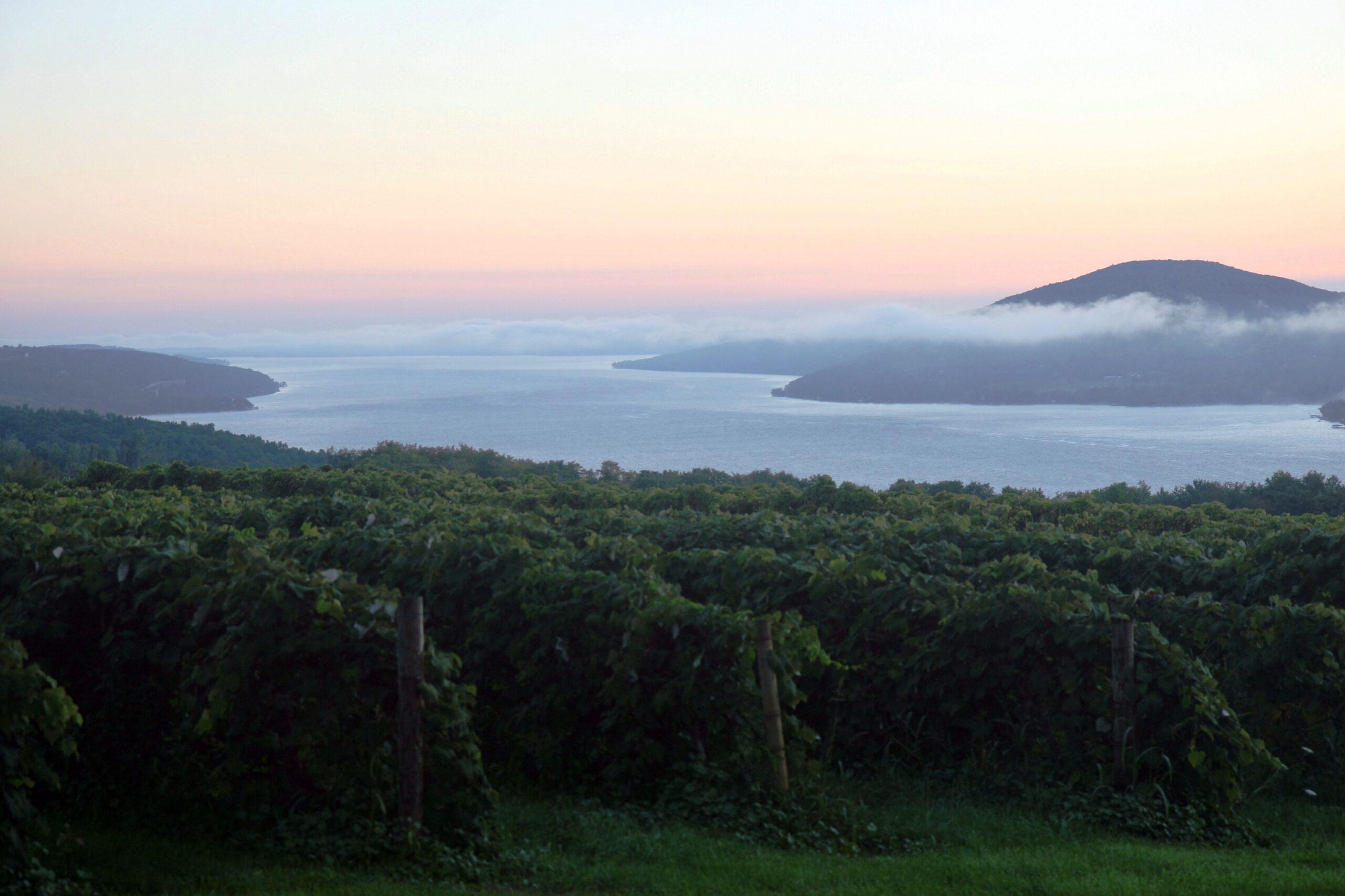 Washington landscape